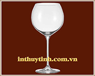 LY THỦY TINH Ocean 04
