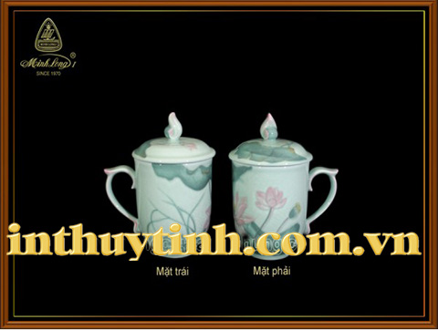 CA SỨ HOA SEN MÀU